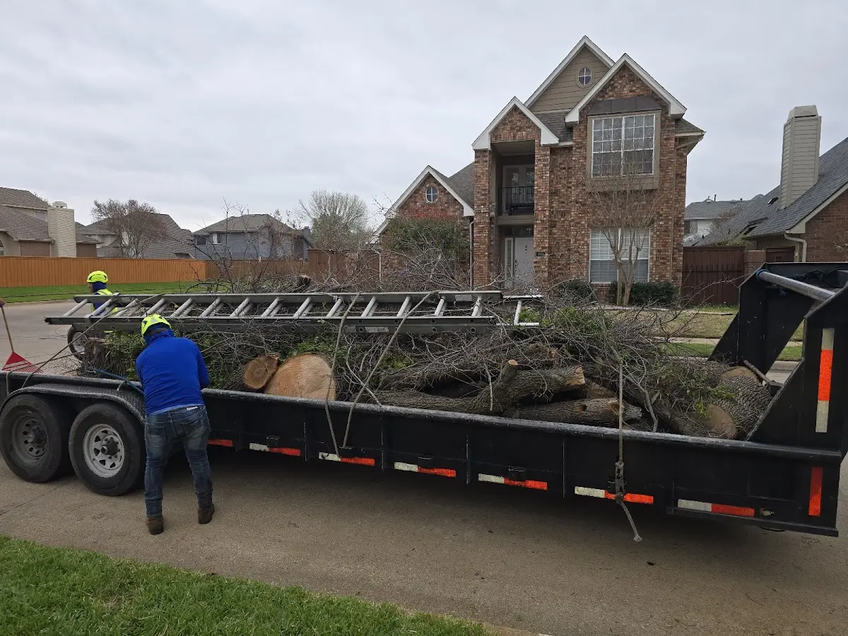 Expert Tree Fertilization with proper safety equipment in Palo